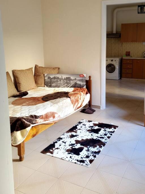 Home Away From Home_3Br At Maniatika_14Min Walk To The Port Piraeus Buitenkant foto